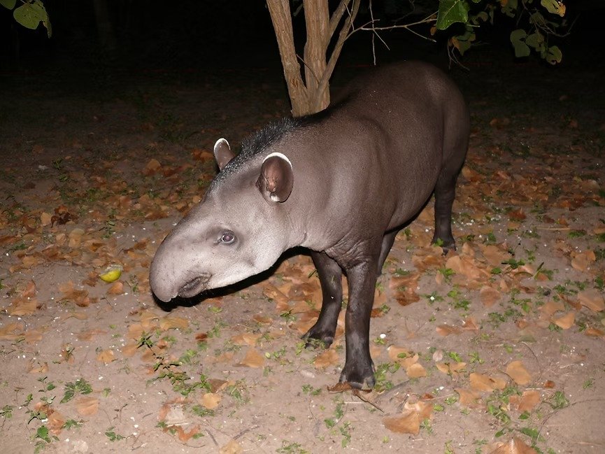 Imagem do WhatsApp de 2025-11-07 à(s) 15.02.40_af6344ca