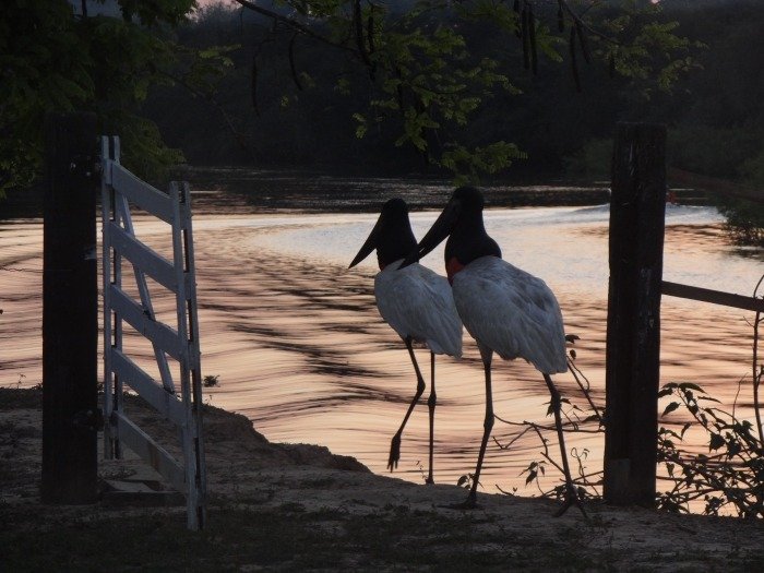 Imagem do WhatsApp de 2025-11-07 à(s) 15.28.49_302480db