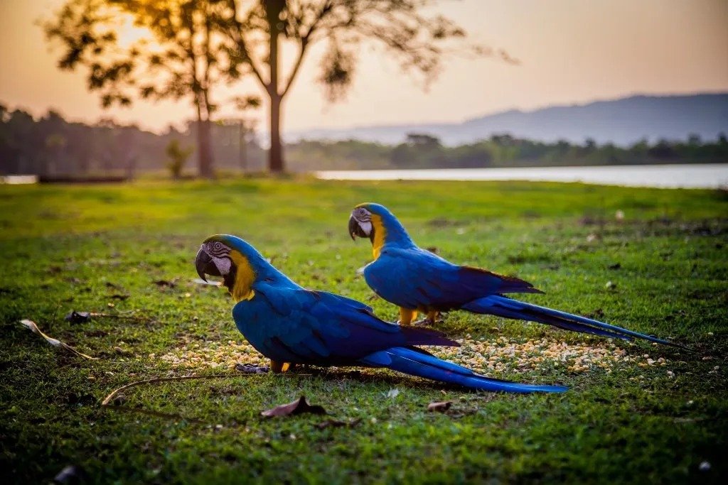 Imagem do WhatsApp de 2025-11-07 à(s) 15.36.53_ad729bfa