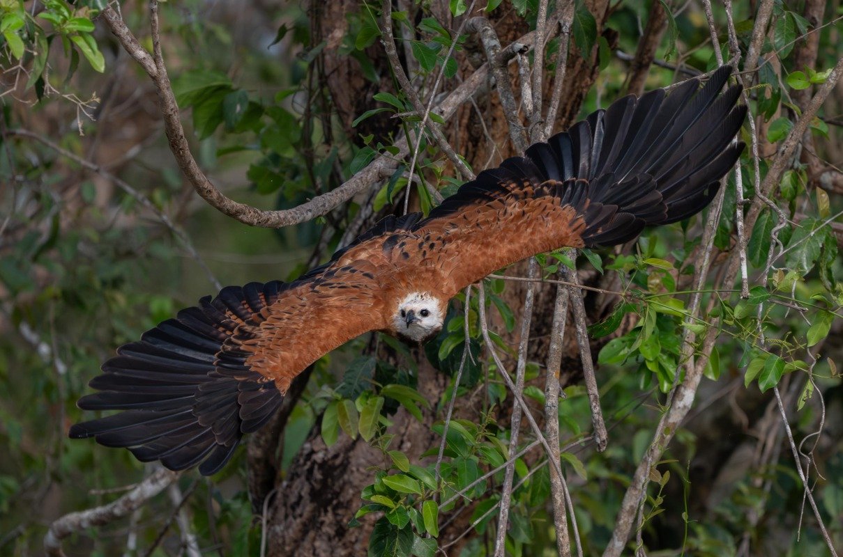 WhatsApp Image 2026-01-10 at 09.32.08